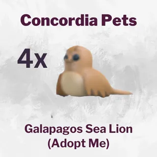 Galapagos Sea Lion x4