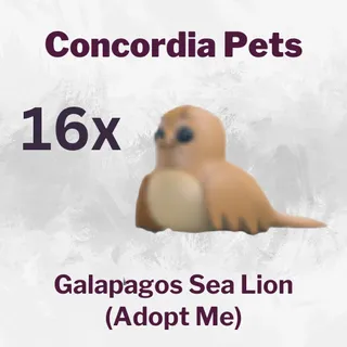 Galapagos Sea Lion x16