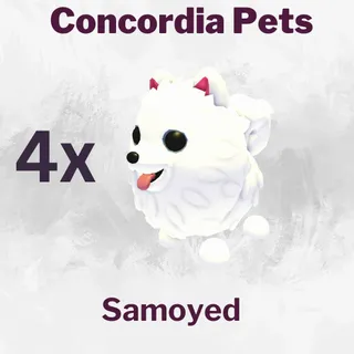 Samoyed