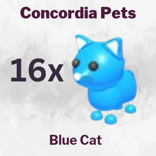 Blue Cat 16x
