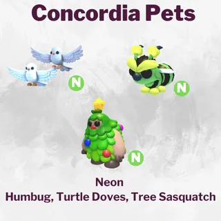 Neon Humbug, Turtle Dove, Tree Sasqu