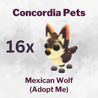 Mexican Wolf x16