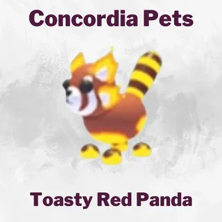 Toasty Red Panda