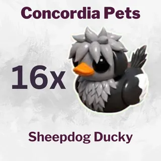 Sheepdog Ducky