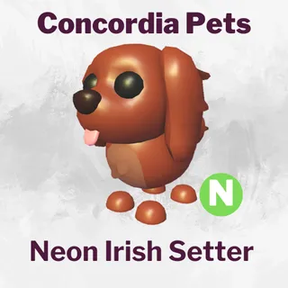 Neon Irish Setter