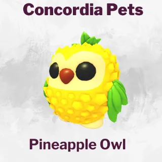 Pineapple owl