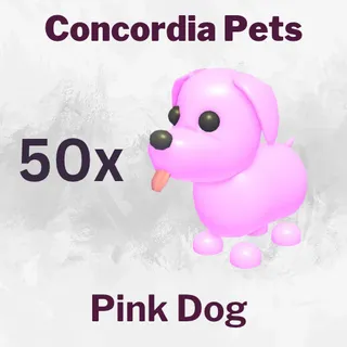 Pink Dog 50x