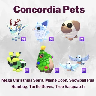 Mega Christmas Spirit, Maine Coon,