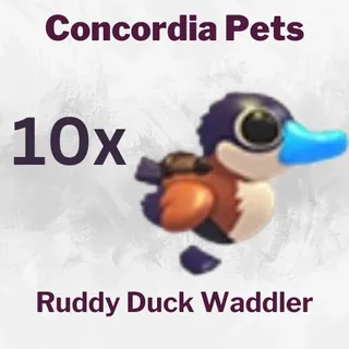 Ruddy Duck Waddler
