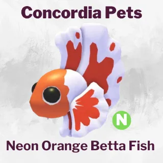 Neon Orange Betta Fish