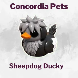 Sheepdog Ducky
