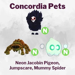 Neon Jacobin Pigeon, Jumpscare, Mummy Spider