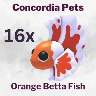 Orange Betta Fish