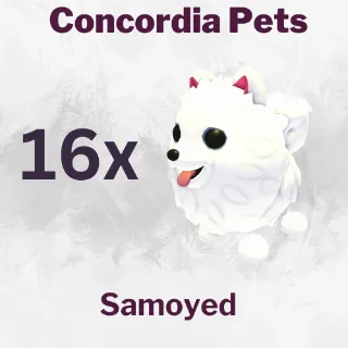 Samoyed