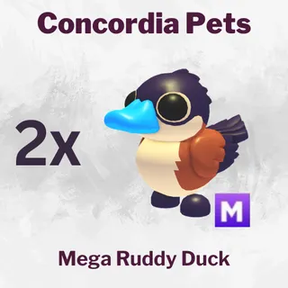RUDDY DUCK MEGA X2 - ADOPT ME