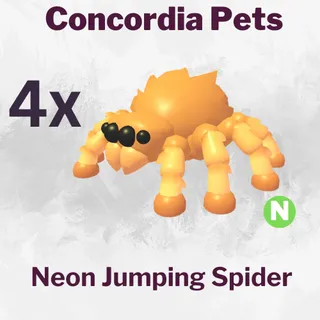 Neon Jumping Spider 4x