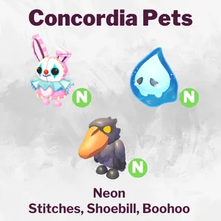 Neon Stitches, Shoebill, Boohoo
