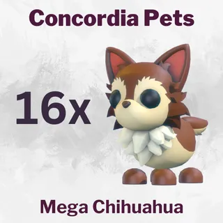 Chihuahua x16