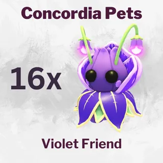 Violet Friend x16