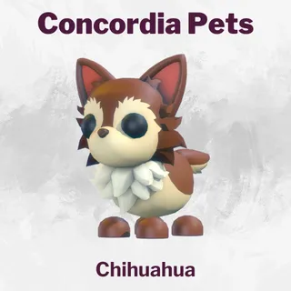 Chihuahua
