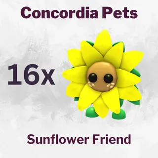 Sunflower Friend x16