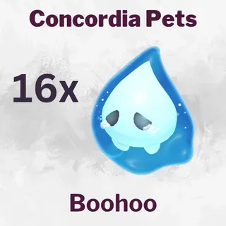 Boohoo 16x