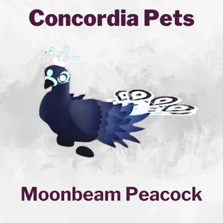 Moonbeam Peacock