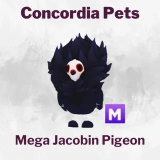 Mega Jacobin Pigeon