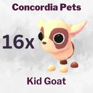 Kid Goat