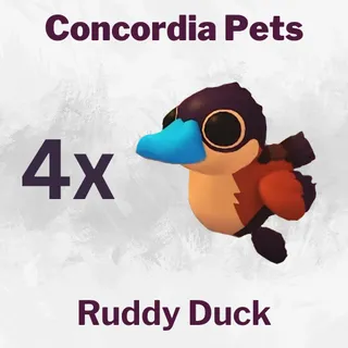 Ruddy Duck