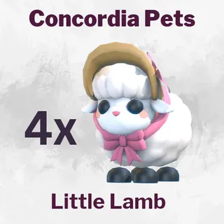 Little Lamb 4x
