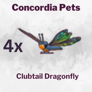 Clubtail Dragonfly