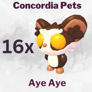 Aye Aye 16x