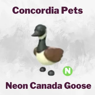 Neon Canada Goose