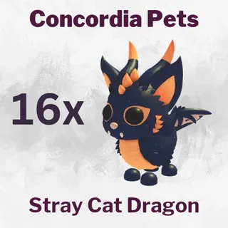 Stray Cat Dragon 16x