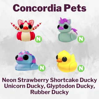 Rubber Ducky Box Pets Neon Bundle