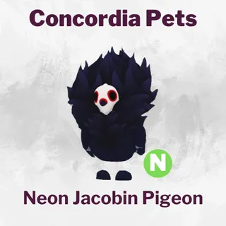 Neon Jacobin Pigeon