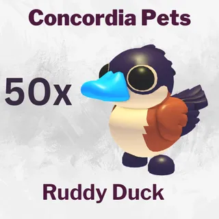 Ruddy Duck