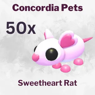 Sweetheart Rat