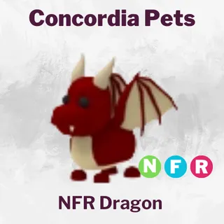  Dragon NFR