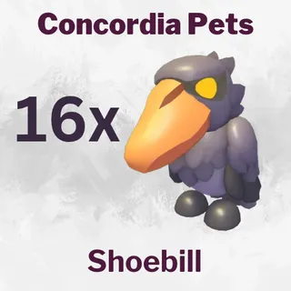 Shoebill 16x