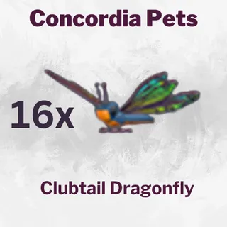 Clubtail Dragonfly
