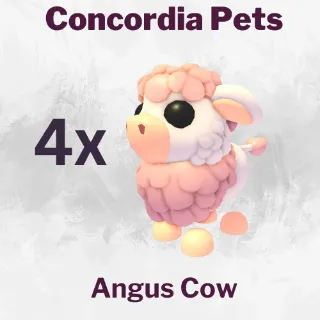 Angus Cow
