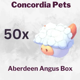 Aberdeen Angus Box