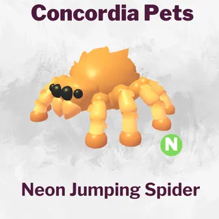 Neon Jumping Spider