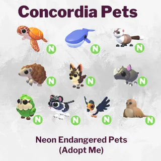 Neon Endangered Egg Pets