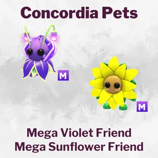 Mega Violet Friend, Sunflower Friend