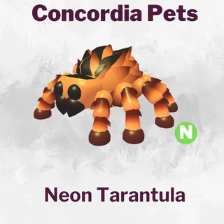 Tarantula Neon