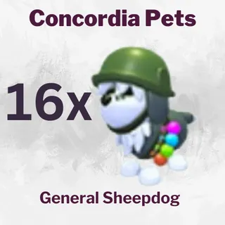 General Sheepdog 16x