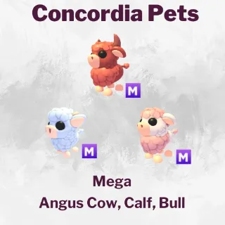 Angus Bull, Calf, Cow Mega